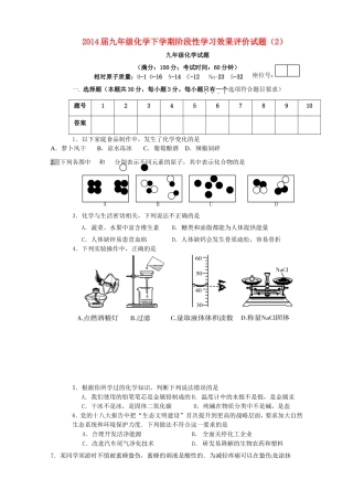 九年级化学下学期阶段性学习效果评价试卷(2)试卷