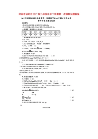 九年级化学下学期第一次模拟试卷答案 041713