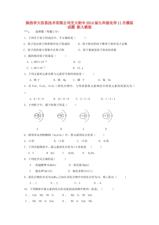 九年级化学11月模拟试卷 新人教版试卷