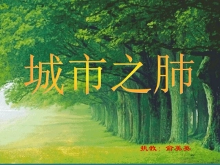 4-城市之肺