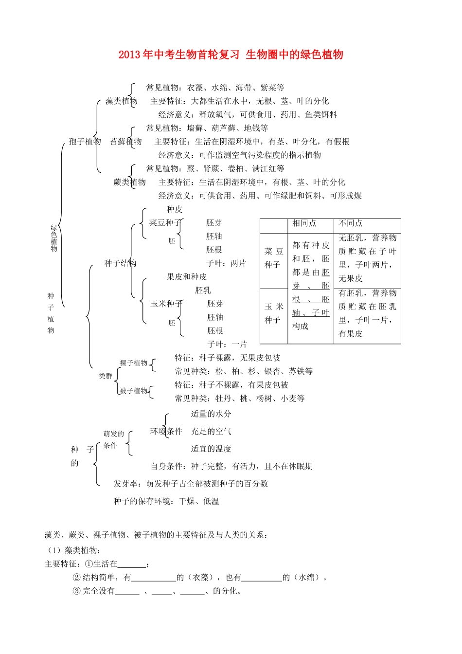 中考生物首轮复习 生物圈中的绿色植物试卷_第1页