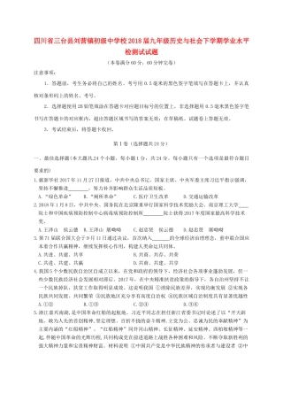 九年级历史与社会下学期学业水平检测试试卷