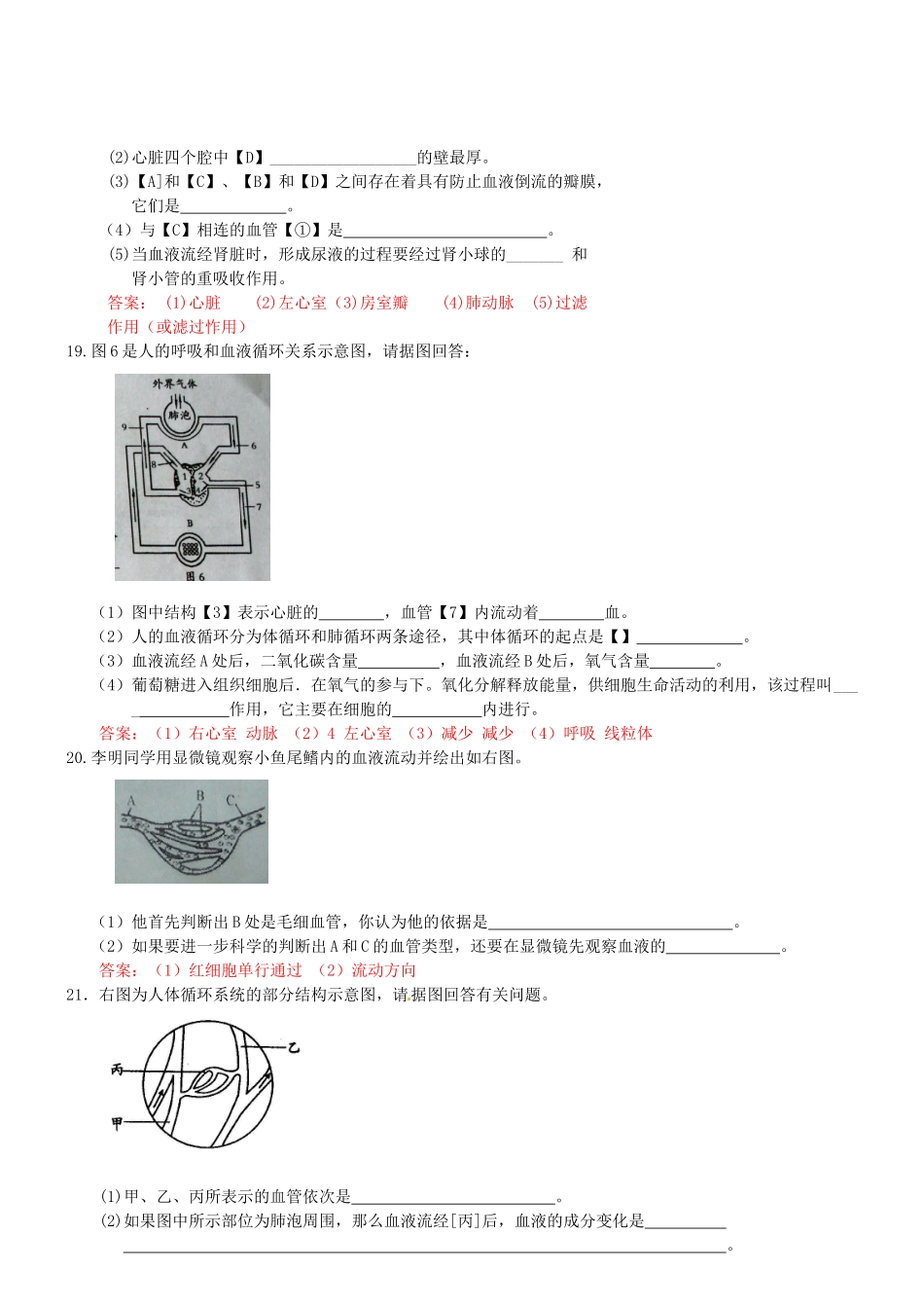 中考生物专项训练-人体内物质的运输试卷_第3页