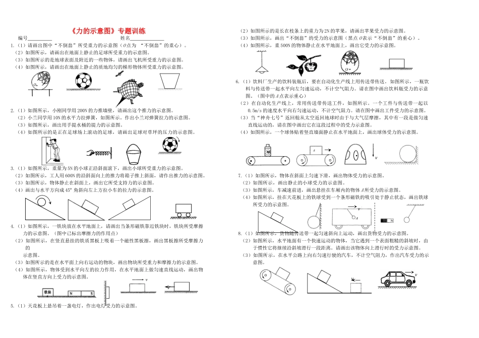 九年级物理 力的示意图作图专训题 人教新课标版试卷_第1页