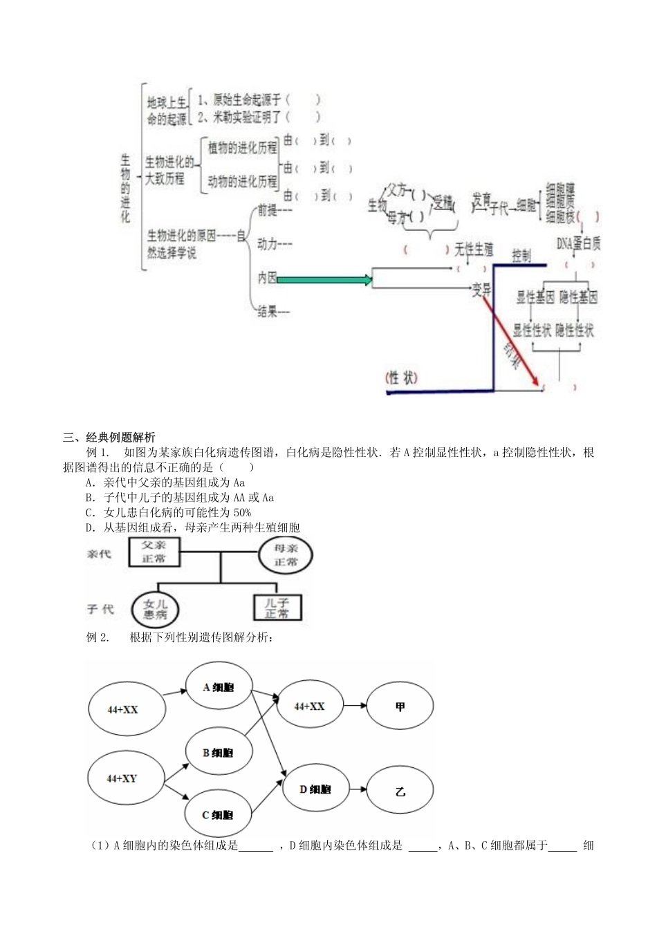 中考生物二轮专题复习 专题7 生物的遗传和变异及生物的进化(pdf版)试卷_第2页