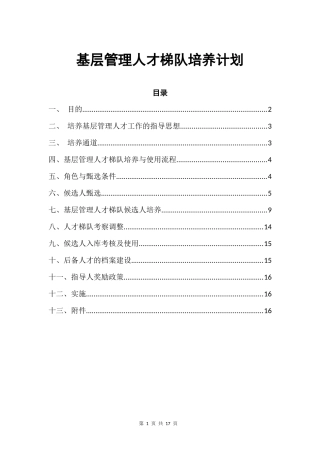基层管理人才梯队培养计划