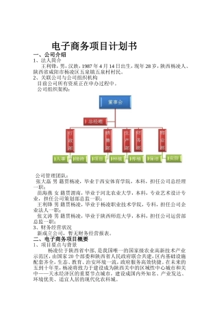 电商项目计划书