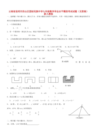 九年级数学学业水平模拟考试试卷 新人教版试卷