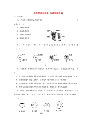 中考物理试卷汇编-简单电现象 电路试卷