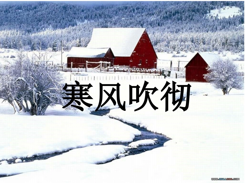 8、寒风吹彻_第1页