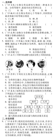 中考生物 第二单元 第四章 生物的分类复习备课试卷精编(pdf) 济南版试卷