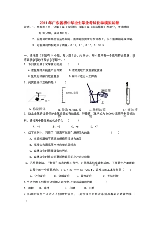 九年级学业模拟考试化学试卷