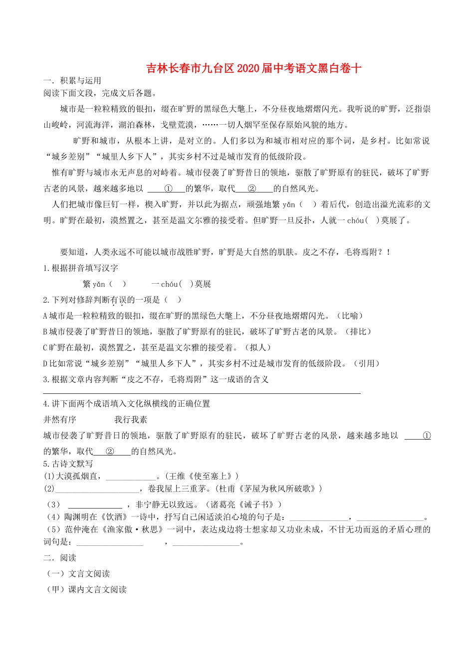 中考语文黑白卷十试卷_第1页
