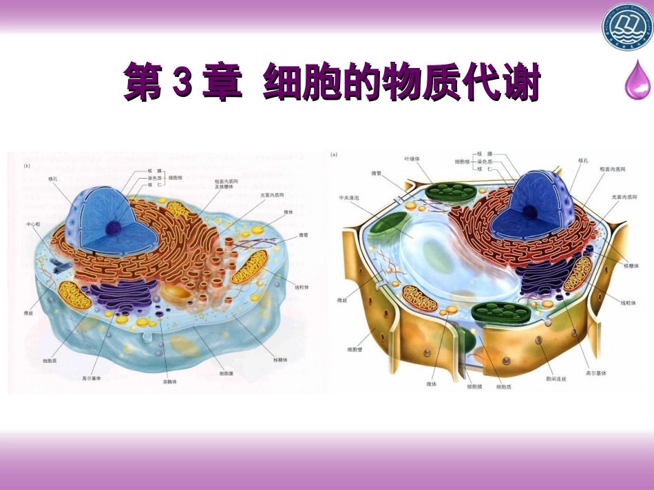 三物质进出细胞的方式_第1页