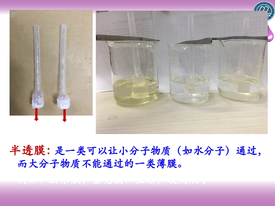 三物质进出细胞的方式_第3页