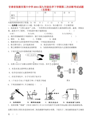 九年级化学下学期第二次诊断考试试卷试卷