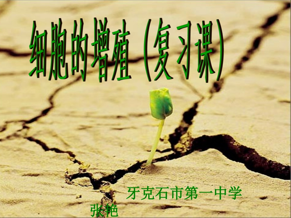 第一节细胞的增殖-(7)_第1页