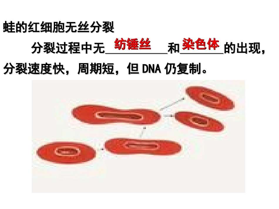 第一节细胞的增殖-(7)_第2页