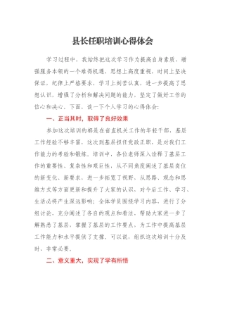 县长任职培训心得体会