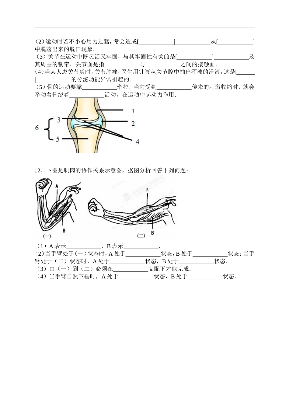 安徽省合肥市第四十二中学2015-2016学年八年级上学期期中考试生物试题_第2页