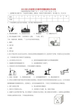 九年级化学第五次教学质量检测试卷 新人教版试卷