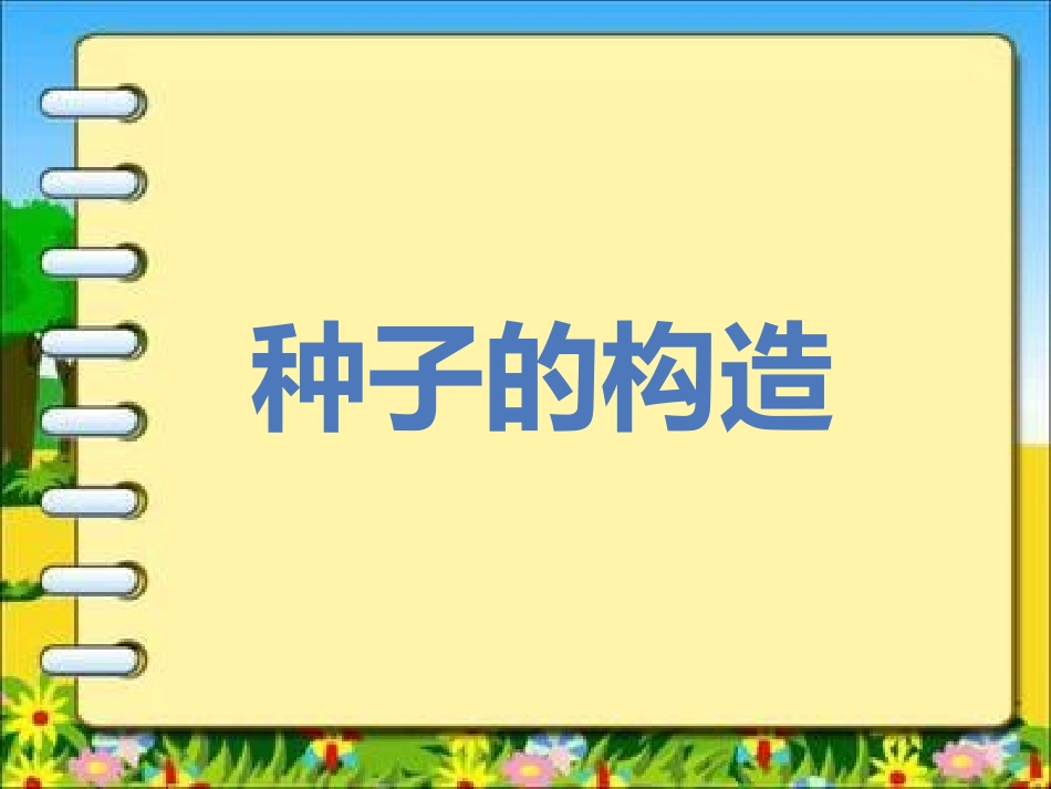 《种子的构造》课件_第1页