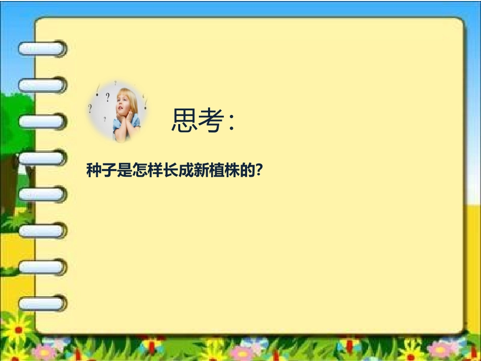 《种子的构造》课件_第2页