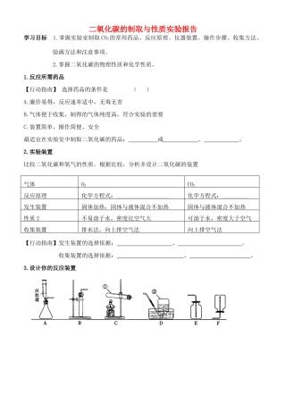 九年级化学上册 第六单元 碳和碳的氧化物 实验活动 二氧化碳的实验室制取与性质实验报告(新版)新人教版试卷