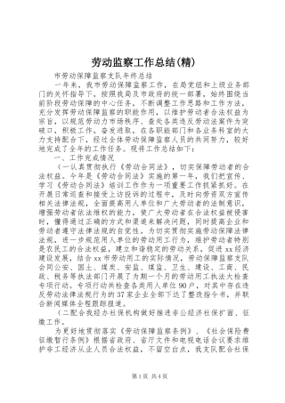 劳动监察工作总结(精) 