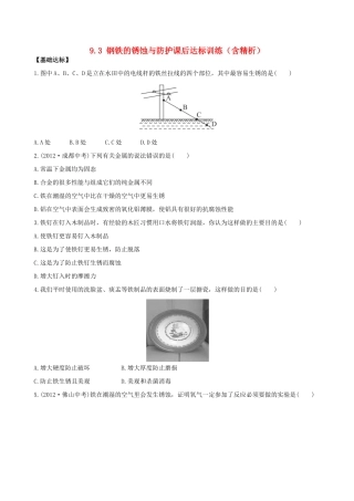 九年级化学下册 93 钢铁的锈蚀与防护课后达标训练(含精析) (新版)鲁教版试卷