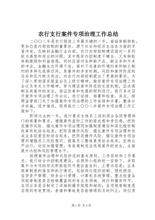 农行支行案件专项治理工作总结 