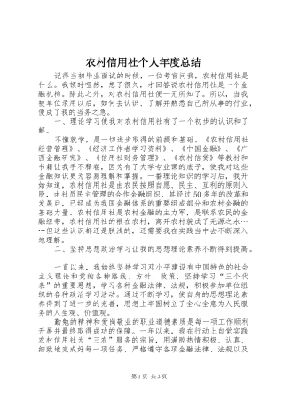农村信用社个人年度总结 