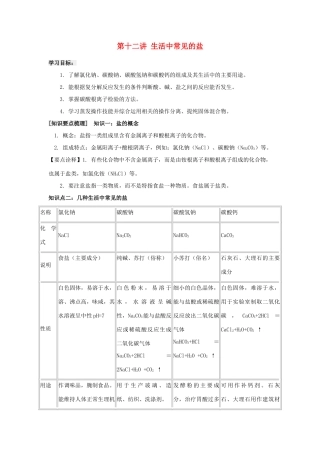 九年级化学寒假补课资料 第十一讲 生活中常见的盐 人教新课标版试卷