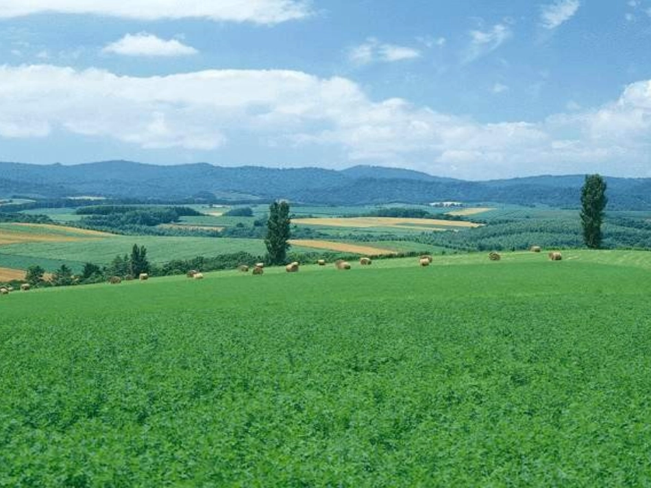 熊一郎《春》_第3页