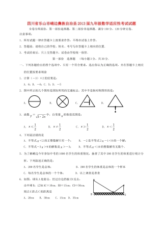 九年级数学适应性考试试卷试卷