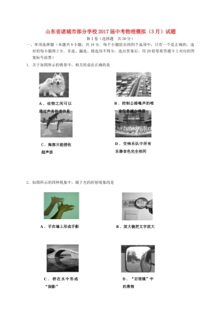 中考物理模拟(3月)试卷