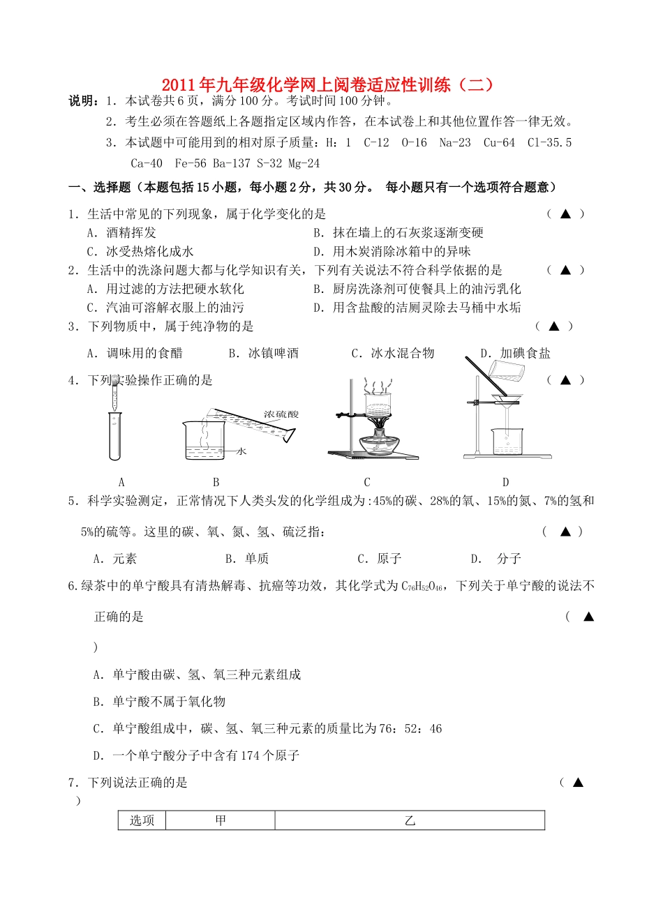 九年级化学网上阅卷适应性训练(二)上科版试卷_第1页