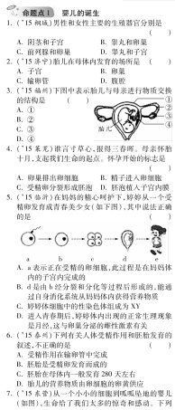 中考生物 第一部分 教材知识梳理 第四单元 第三章 人类的生殖和发育复习备课试卷精编(pdf) 济南版试卷