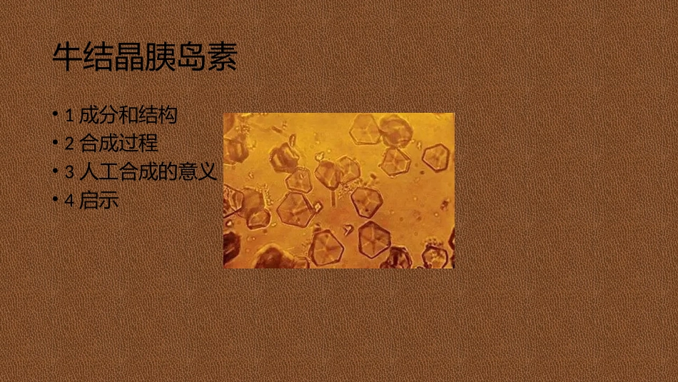 科学家访谈-探索生物大分子的奥秘-(2)_第3页