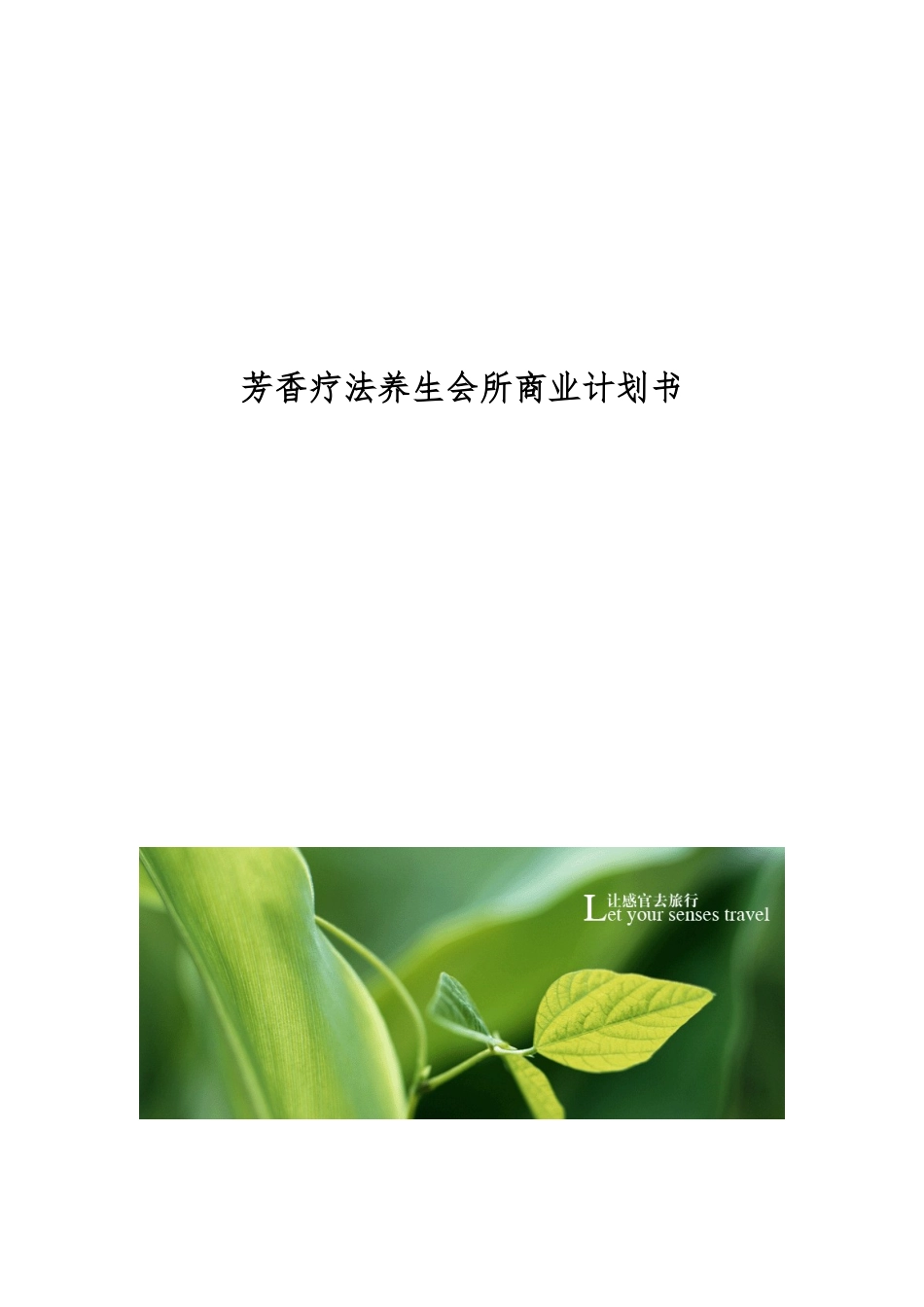 芳香疗法养生会所商业企划书_第1页