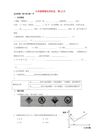 九年级化学上学期寒假作业 第12天 鲁教版试卷