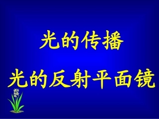 2.光的反射定律-(2)
