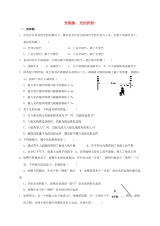 中考物理复习 光现象、光的折射2试卷