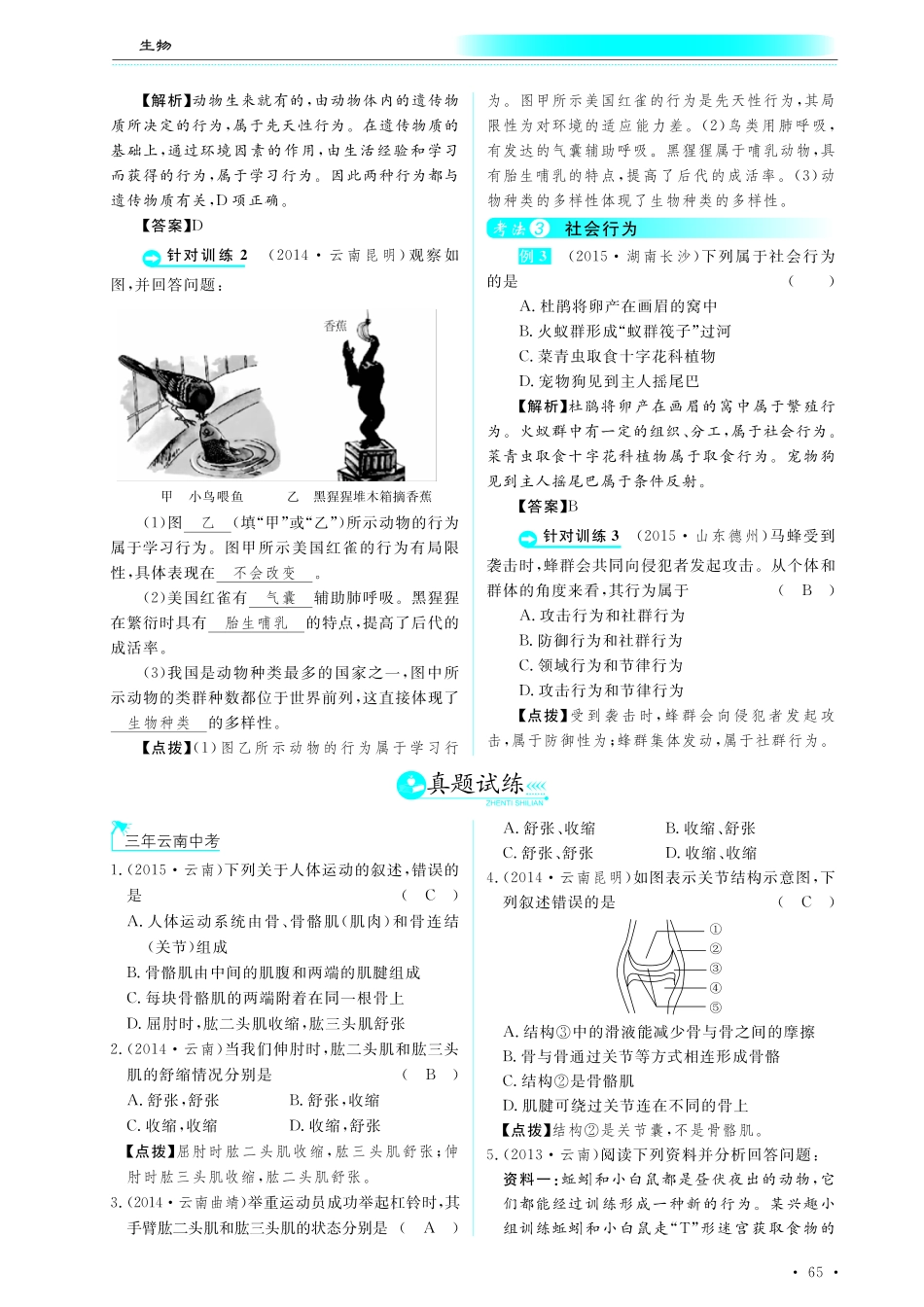 中考生物总复习 专题十五 动物的运动和行为真题试练及限时检测(pdf)试卷_第1页