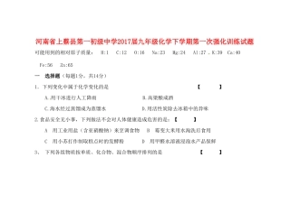 九年级化学下学期第一次强化训练试卷试卷
