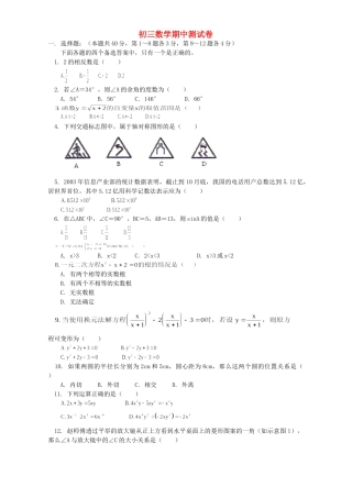 初三数学期中测试卷 首师大版 试题