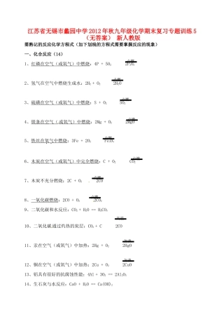 九年级化学期末复习专题训练5 新人教版试卷