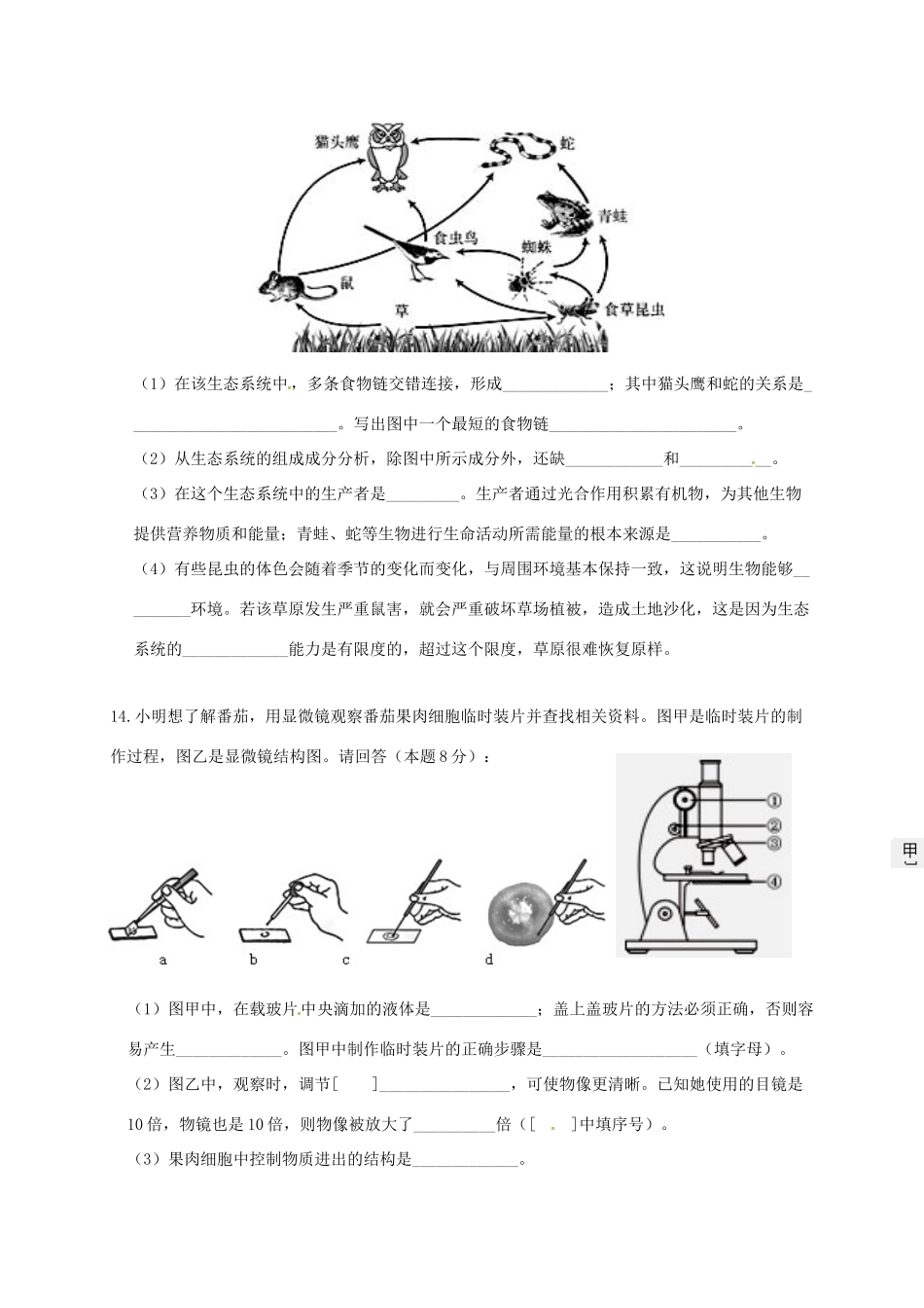 内蒙古省七年级生物上学期期中试题 新人教版 试题_第3页
