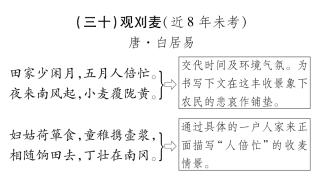 中考语文总复习 九上 观刈麦备考满分挑战(pdf) 苏教版试卷