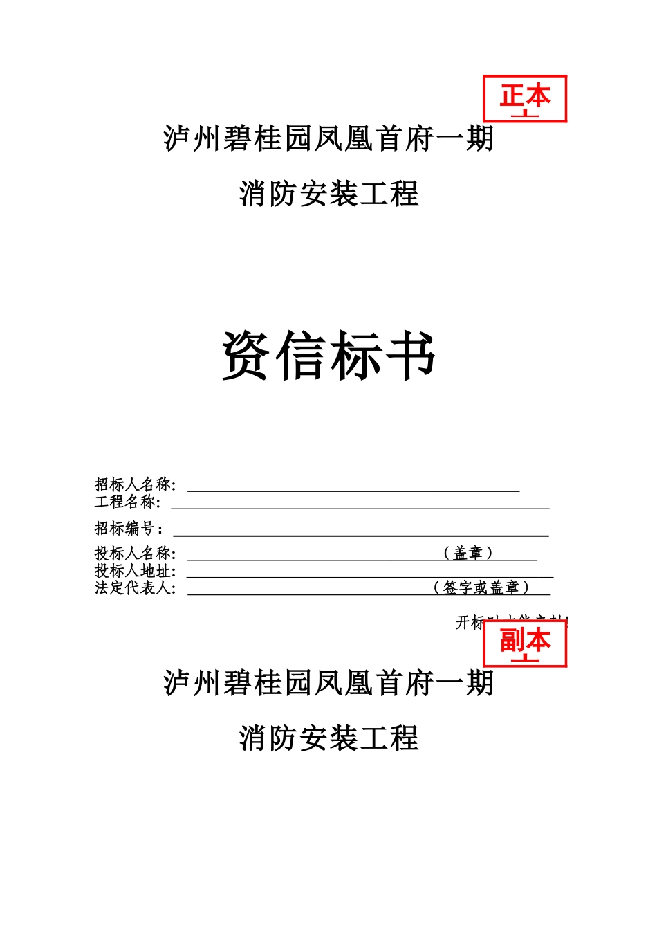 标书封面格式_第1页